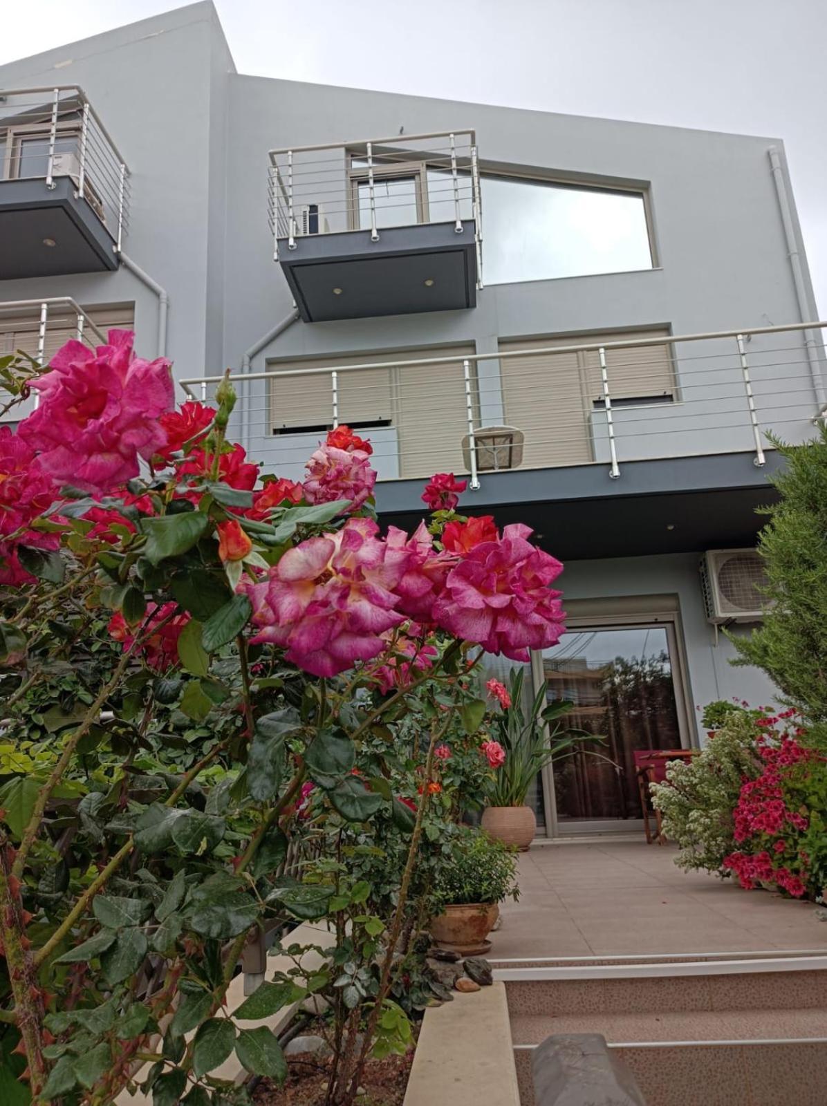 Apartment Rose